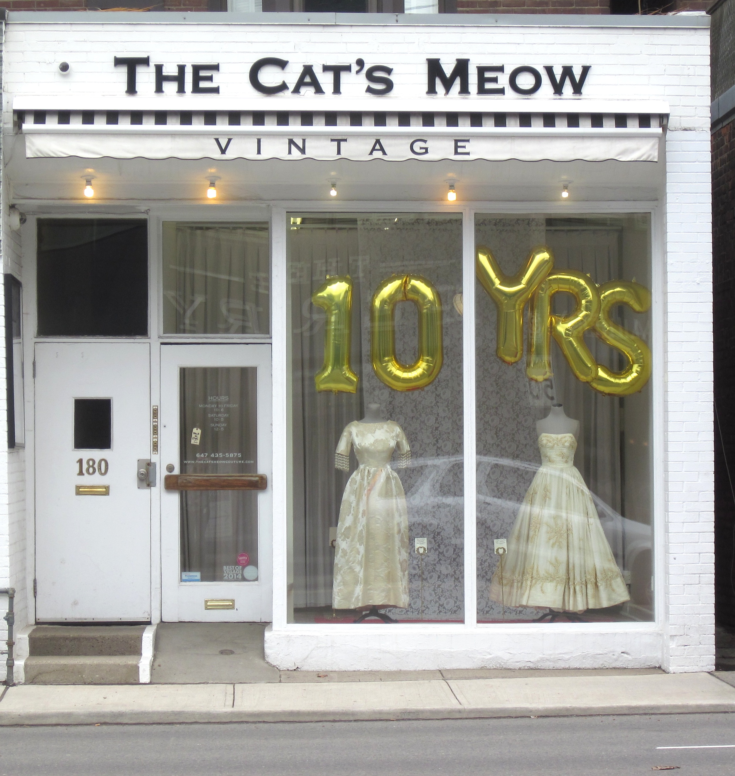 The Cats Meow Blog Archive The 10th Party