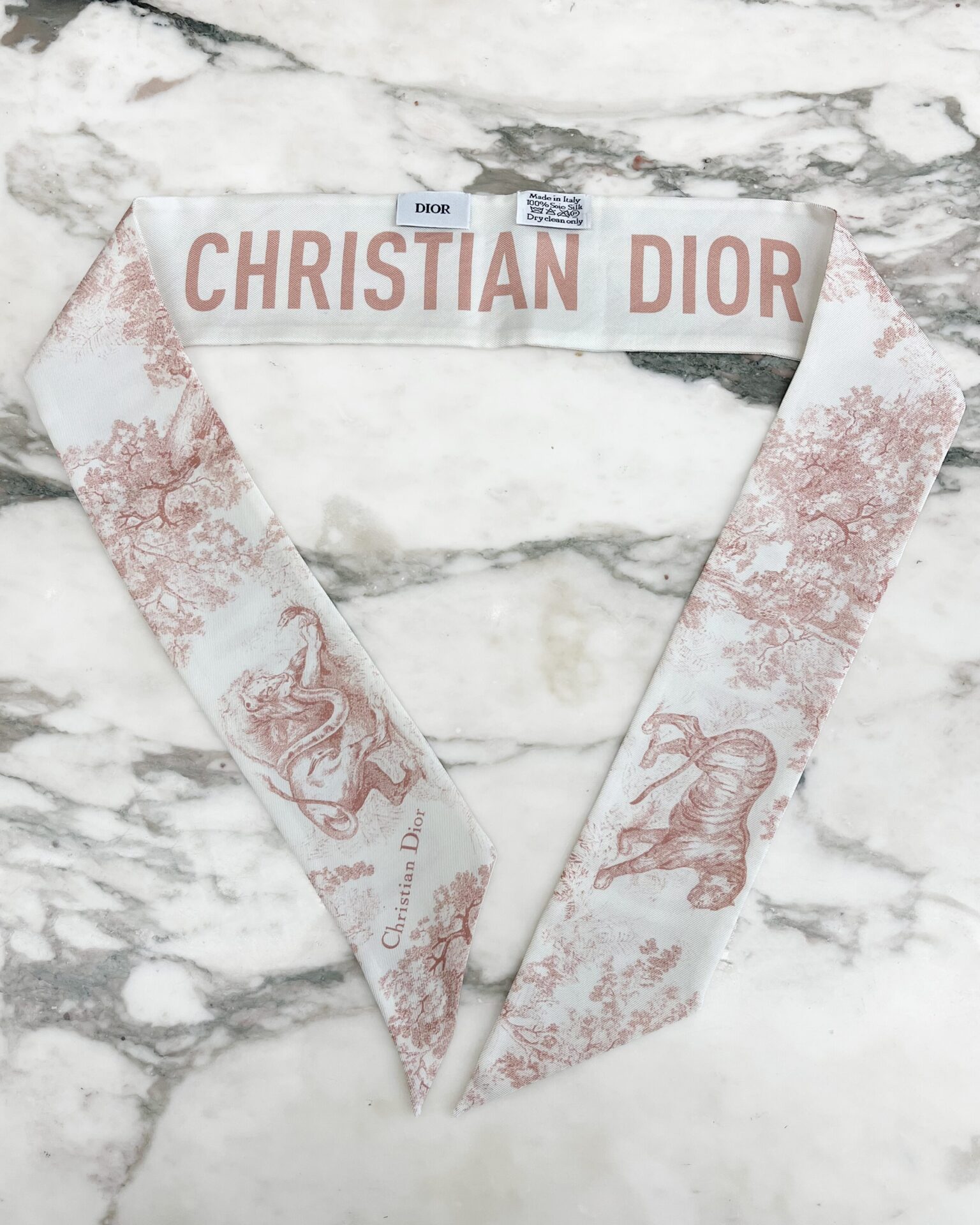 Dior Mitzah Toile de Jouy Sauvage twilly scarf