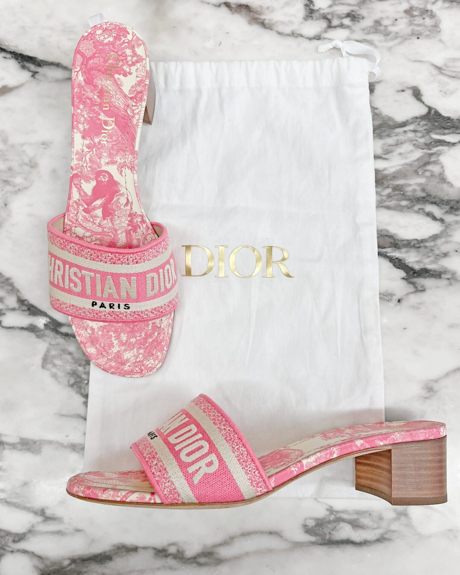 Dior Dway pink block heel slide sandals