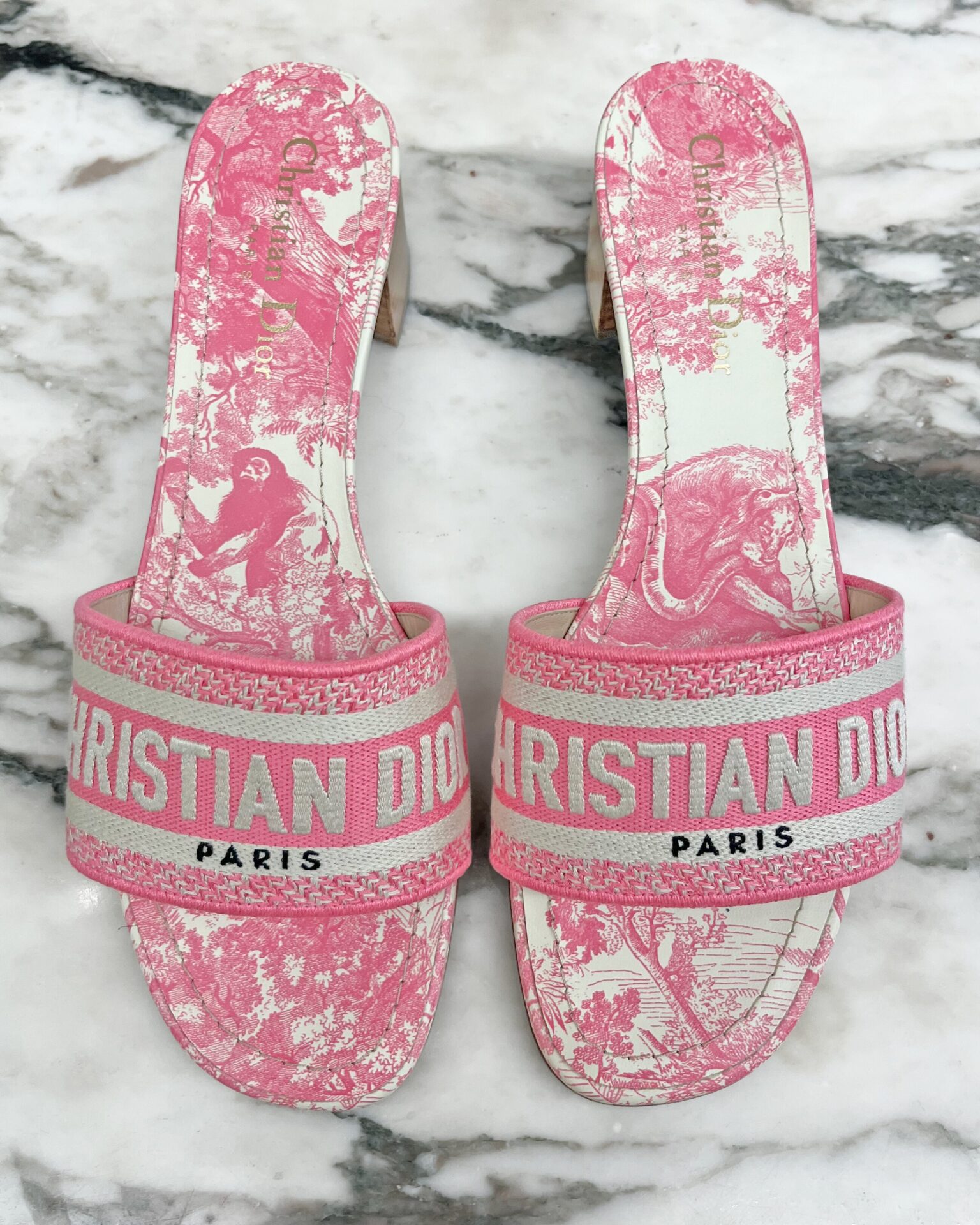 Dior Dway pink block heel slide sandals