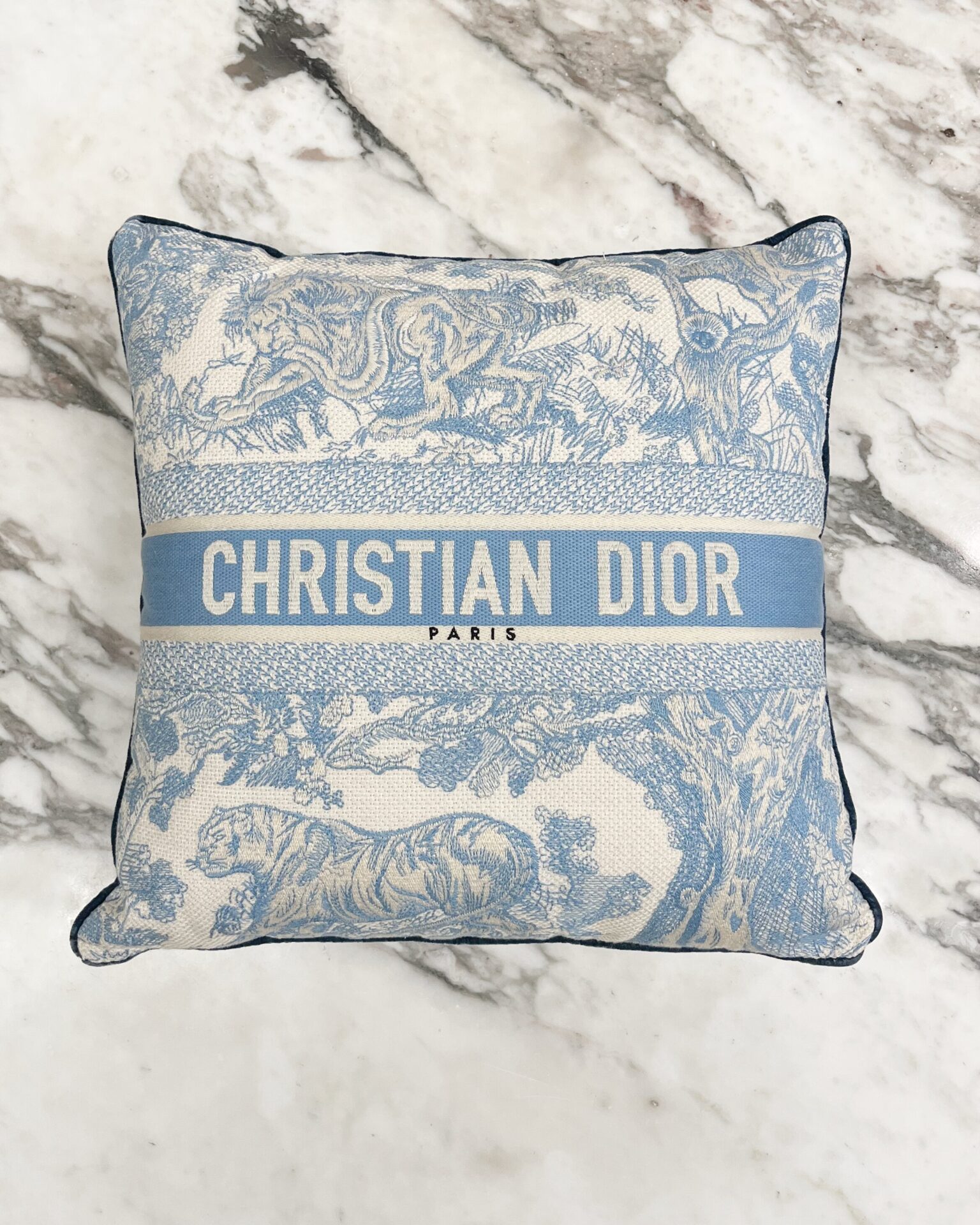 Dior square pillows in light blue Toile du Juoy