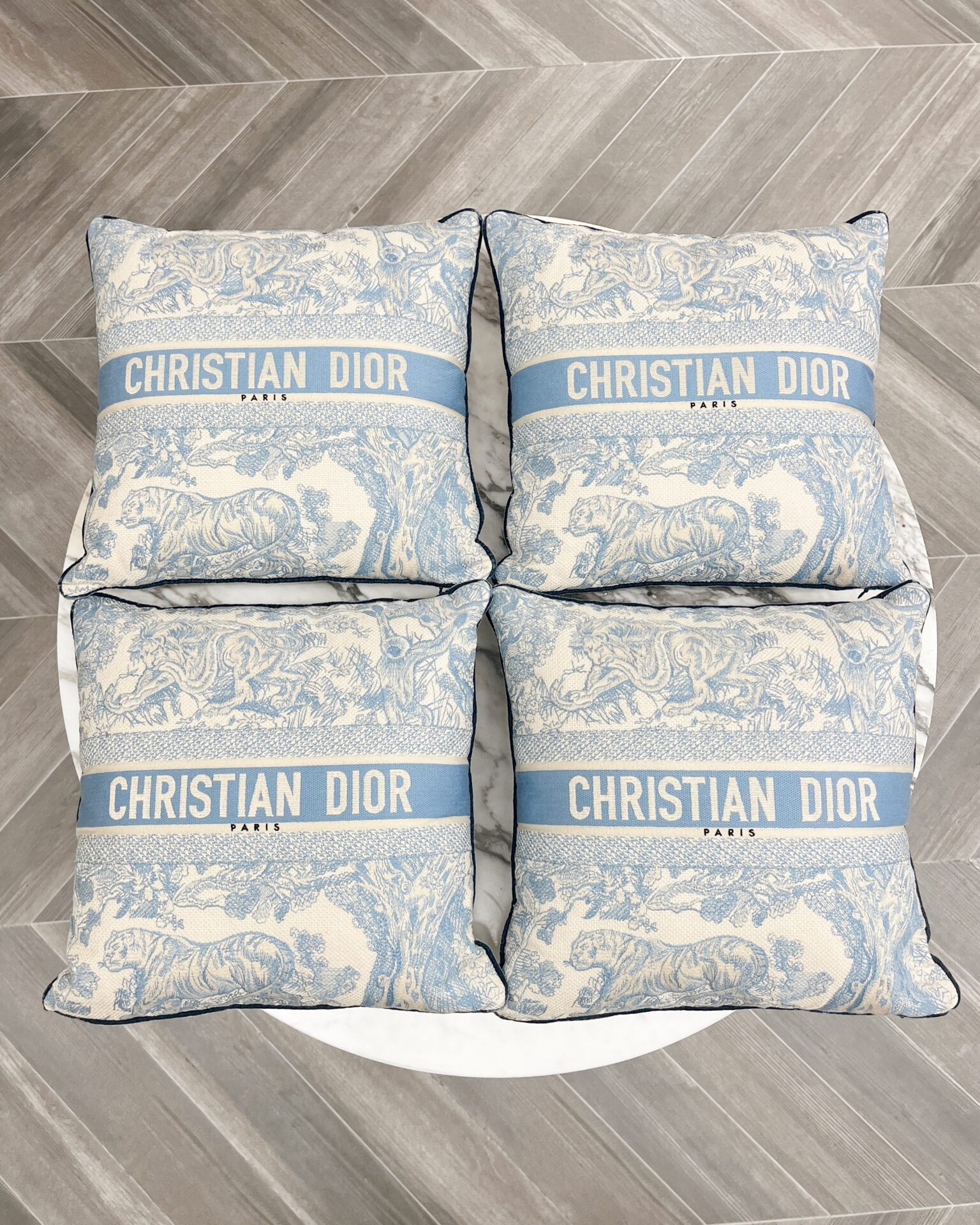 Dior square pillows in light blue Toile du Juoy
